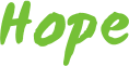 Polineni Charitable Trust
