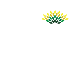 Polineni Charitable Trust