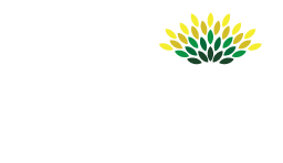 Polineni Charitable Trust